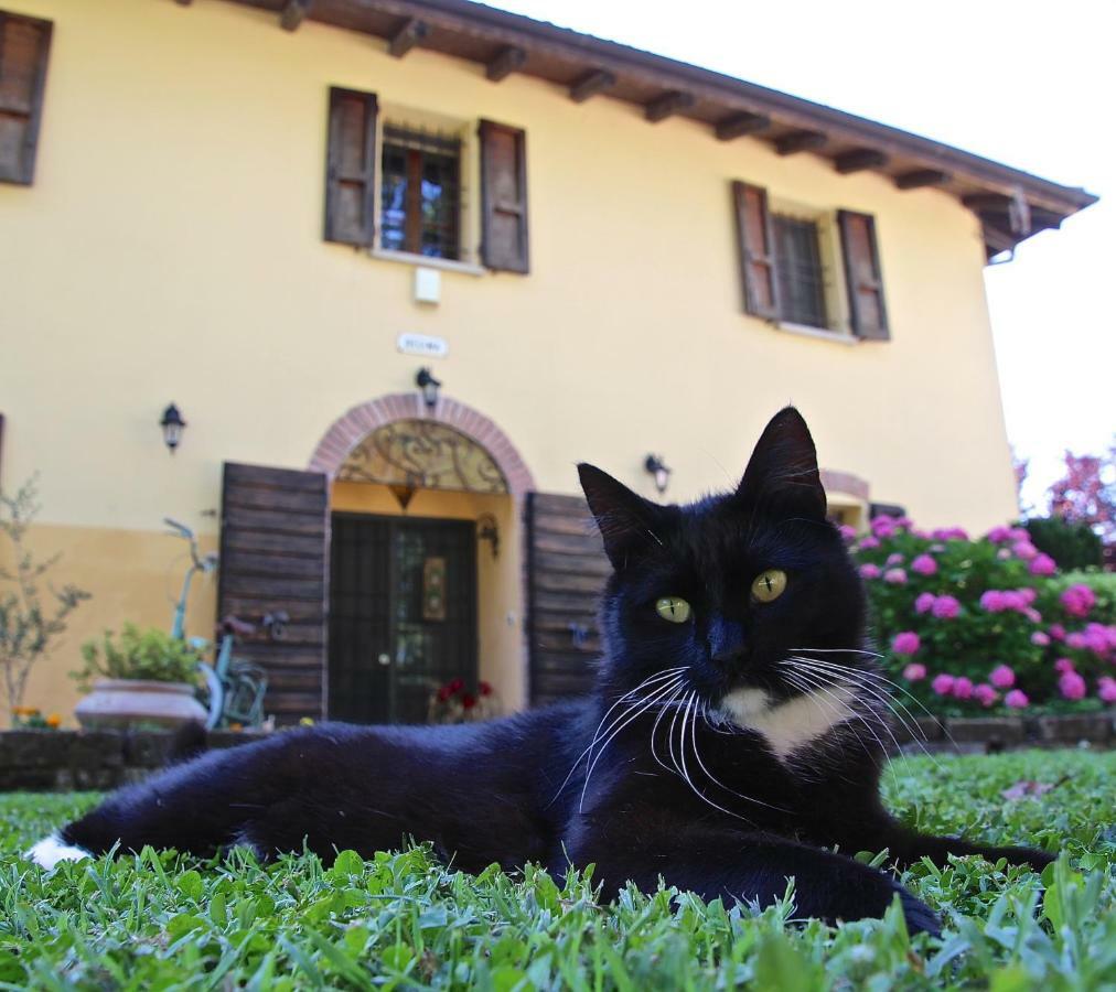 Casale La Decima Bed & Breakfast Budrio  Bagian luar foto